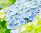 要領が悪い、毎日つらい…あなたの気持ち受け止めます 普通に暮らすだけで、他人の何倍も疲れてしまうあなたに イメージ9