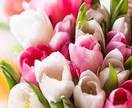在日で他国籍の方、外国人が感じる葛藤聞きます 恋愛、結婚、就職など、外国人であるために心痛めてる方々へ。 イメージ1