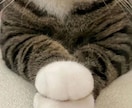 自責がつらい方へ自己対話と心の整理手伝います 自分を大切にしたいあなたの気持ちの見える化をサポートします イメージ3