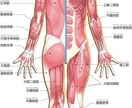 歌初心者〜中級者の人に技術を自分だけのものにします 歌の悩み？任せてください解決しますよ イメージ2