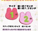 小さなお子さまのおもちゃ作ります 初めてのボタンの練習に♪スナップボタンの練習、ボタンつなぎ☆ イメージ4
