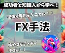 興奮できるFX秘伝手法(完全オリジナル)を教えます 逆張りスタイルのFX手法。リスク管理徹底！期間限定で20枚様 イメージ1