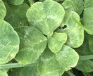 辛いお気持ちを軽く、楽にします 心に寄り添い、あなたが一歩踏み出せるカウンセリング イメージ6