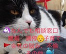 不安な事、お悩み、愚痴シングルマザーが聞きます 最後には背中を押してくれるカードリーディングもあるよ！♪ イメージ1