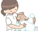 現役トリマーがお手入れ方法教えます おうちでのお手入れ方法のコツを教えます(^ ^) イメージ1