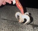 釣りを始めたい方に0から丁寧にアドバイスします 釣りで必要な道具の購入や釣り方を0から丁寧にサポート! イメージ2