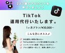 TikTok運用代行します 二人三脚でアカウントを伸ばしましょう！ イメージ1