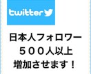 Twitterフォロワー５００人以上増加させます 日本人アクティブアカウント 即効性 安全性 内容に自信有り！ イメージ1