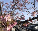 話を聞いてほしいあなたの話し相手になります お友達感覚で現役大学生にモヤモヤを愚痴ってみませんか？ イメージ1