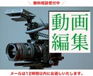 YouTubeやアニメーションの動画編集いたします 登録者数万人越えの編集も経験しています イメージ1