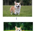 お写真を白抜きいたします どんな写真も最速、低料金で懇切、丁寧に仕上げます。 イメージ4