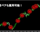 スマホをFXで活用した両建て裏技手法教えます 4年間の運用を続けた安定型のリスク制御の両建て手法 イメージ6