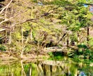 お電話による、霊感・霊視占いを致します 癒しのvoiceで、悩める心を少しでも晴れやかにするお手伝い イメージ3