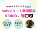初心者OK￤SNS集客￤バズるPR動画編集します SNSでのファン作り、商品・ブランド・店舗PRをサポート◎ イメージ1