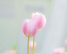 なんでもお話しお聞きします 嬉しいことでも辛いことでも、なんでもお気軽にお話しください。 イメージ1