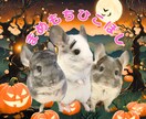 AIでペットの紹介画像を一緒に作成します あなたの「うちの子」自慢しませんか？ イメージ2