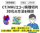 研究者向け｜医療画像の3D化に関する相談を承ります CT/MRI/エコー/病理切片3D化の悩みに！最適な手法提案 イメージ1