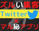あるアプリで特定属性のフォロワーを集める裏技教ます 他言厳禁！あるアプリを使って集客するズルいTwitter運用 イメージ1