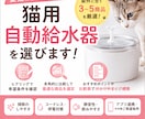 猫さんに合う自動給水器を様々な角度から探します 愛猫と飼い主さんに合う3〜5商品を厳選します イメージ1
