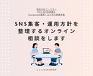 SNS集客・運用方針を整理するオンライン相談します 成果から逆算したSNS運用を整理します イメージ1