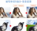 写真や画像の修正・加工等を承ります Web・SNS用にも使える！迅速・丁寧を低価格で提供します！ イメージ3