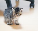 もしかして発達障害？子育ての不安お悩みお聞きします 癇癪/トラブル/落ち着きがない/お子様の困りごとは何ですか？ イメージ7