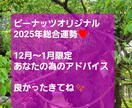 2025年⭐１年間の総合運勢を占います ピーナッツ⭐独自のオリジナル私法で開運アドバイス総合運勢 イメージ1
