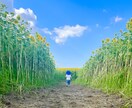 日常の写真を最新iPhoneで販売します 子供風景日常をテーマに撮影します イメージ5