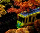 東京の山（高尾・奥多摩）の風景写真を撮影代行します 美しい風景や花の写真を提供！商用利用可・RAW現像サービス付 イメージ8