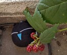 保育の悩み聞きます 幼少期(2歳児から)の育児の悩みをぶつけてください。 イメージ10