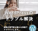 WordPressのトラブルについて回答します システム開発専門に行っているプロがアドバイスをします。 イメージ1
