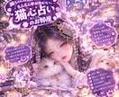 慈愛のテレパシーで愛猫が隠した純粋な愛を伝えます がんばるあなたへ。15匹を看取った私が紡ぐ愛猫からの愛の部屋 イメージ1