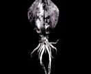 デジタル魚拓制作いたしますます 釣ったお魚の写真が魚拓風イラストに！ イメージ2