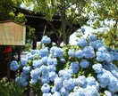 あなたの楽曲に素敵な歌詞をつけます 「言葉にしにくい」「歌詞が浮かばない」でお悩みのあなたへ！ イメージ1