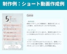 SNSのショート動画を作成します 集客・認知拡大に効果抜群！伝わるショート動画を制作します！ イメージ6