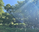 あなたの心の中、全部受けとめます 否定なんてありません、あなたの心の居場所になりたい^_^ イメージ3