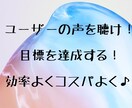 業界無関係の素人がお伝えします ユーザーの声を聴くことが1番！効率よくコスパよく目標に向かう イメージ1