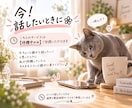 短時間専用ꕥ 今！この気持ち聞いて！をお聴きします ホントにどーでもいいけど誰かに話したい！ イメージ5
