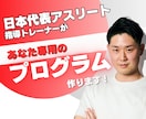 代表アスリートの指導トレーナーがメニュー作ります 肩こり/腰痛/ダイエット/競技力UPまで幅広く対応！ イメージ1