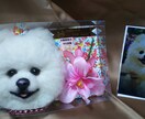 羊毛フェルトでペットそっくり大型まで作ります 永遠に!大好きペットと側にいたい!有り難うを込めて… イメージ10