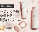 格安・お洒落・高品質なECサイト作りますます ショピファイでオンラインショッピング始めませんか？ イメージ10