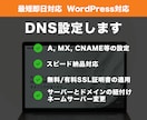 ドメインのDNS・メール・SSL設定を代行します ドメインとサーバー紐付け・メール切り替えを迅速トラブル解消 イメージ1
