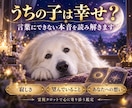 ペットの気持ち・本音を霊視タロットで丁寧に占います 犬猫限定｜今の本音・望み・飼い主様への想いを丁寧にお届け イメージ5