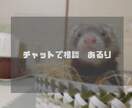 あなたに寄り添い、どんなお悩みでもお聞きます 沢山の経験をしてきたからこそ、私にしかできないアドバイスを。 イメージ1