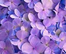 お話聴かせてください(´-`)あなたに寄り添います お電話ください。悩み・愚痴・孤独感・自慢など　話すと心が楽に イメージ3