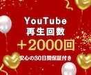 高品質YouTube2000回再生回数拡散します ☆30日間の減少保証付☆再生拡散2000回をサポート イメージ1