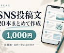 SNS投稿文20本をまとめて作成します 投稿文＋投稿順と目的｜書き出し案・修正2回 イメージ1