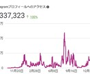 人には言えない！禁断のインスタ集客法を大公開します かんたん×コピペ×半自動化！らくらく×スピードインスタ運用術 イメージ2