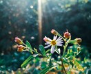 初心者から写真が上手くなる構図アプローチ教えます 写真が本気で上手くなりたい人へ イメージ8
