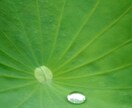 愚痴、ココロのお悩みなどお聞きします ココロをふんわりとするお手伝いをさせて頂きたいと思います。 イメージ7